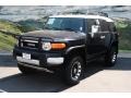 Black Diamond - FJ Cruiser 4WD Photo No. 5
