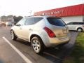 Brilliant Silver Metallic - Murano S Photo No. 3