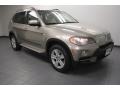 Platinum Bronze Metallic - X5 4.8i Photo No. 1