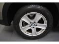 Platinum Bronze Metallic - X5 4.8i Photo No. 9