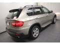Platinum Bronze Metallic - X5 4.8i Photo No. 10