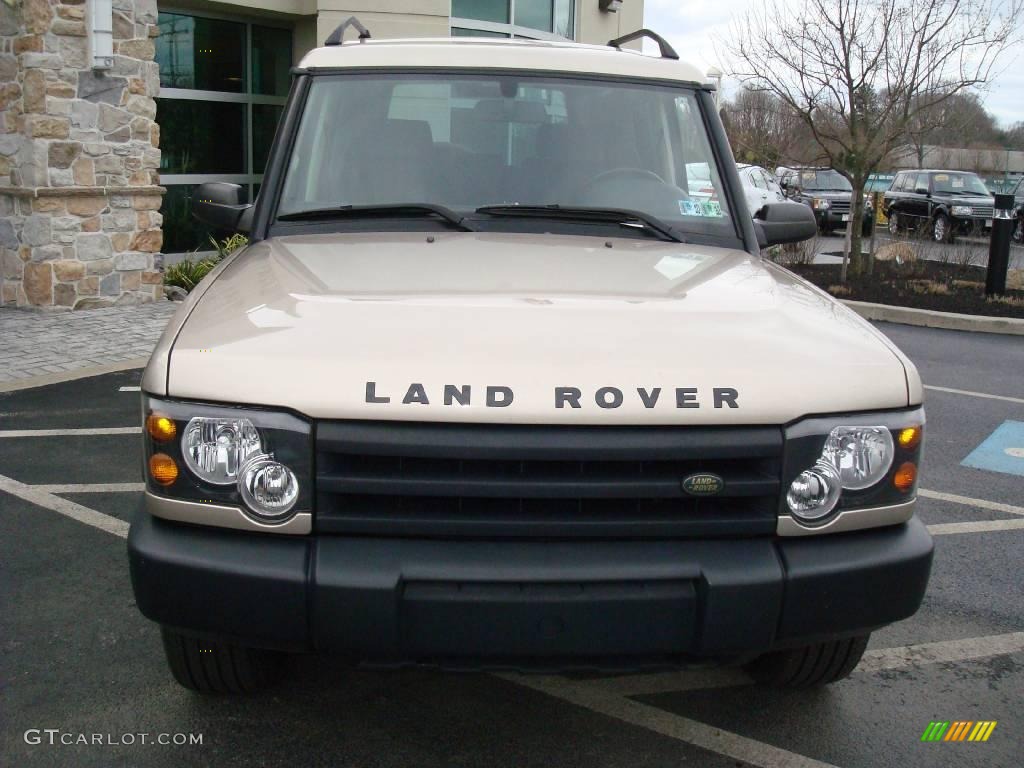 2003 Discovery S - White Gold / Black photo #4