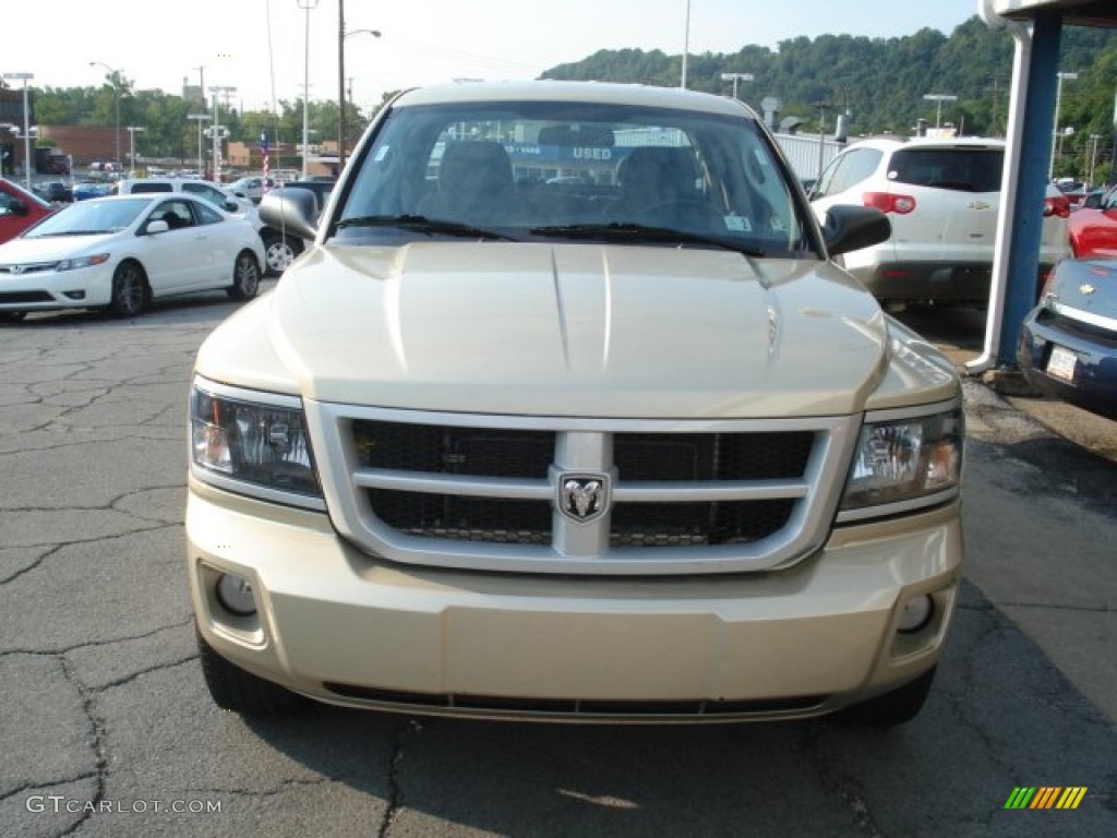 2011 Dakota Big Horn Crew Cab 4x4 - White Gold Metallic / Dark Slate Gray/Medium Slate Gray photo #3