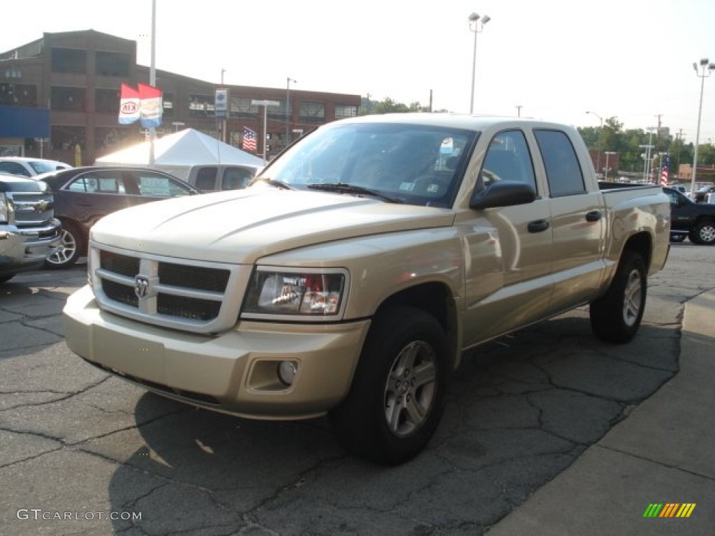 2011 Dakota Big Horn Crew Cab 4x4 - White Gold Metallic / Dark Slate Gray/Medium Slate Gray photo #4