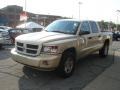 2011 White Gold Metallic Dodge Dakota Big Horn Crew Cab 4x4  photo #4