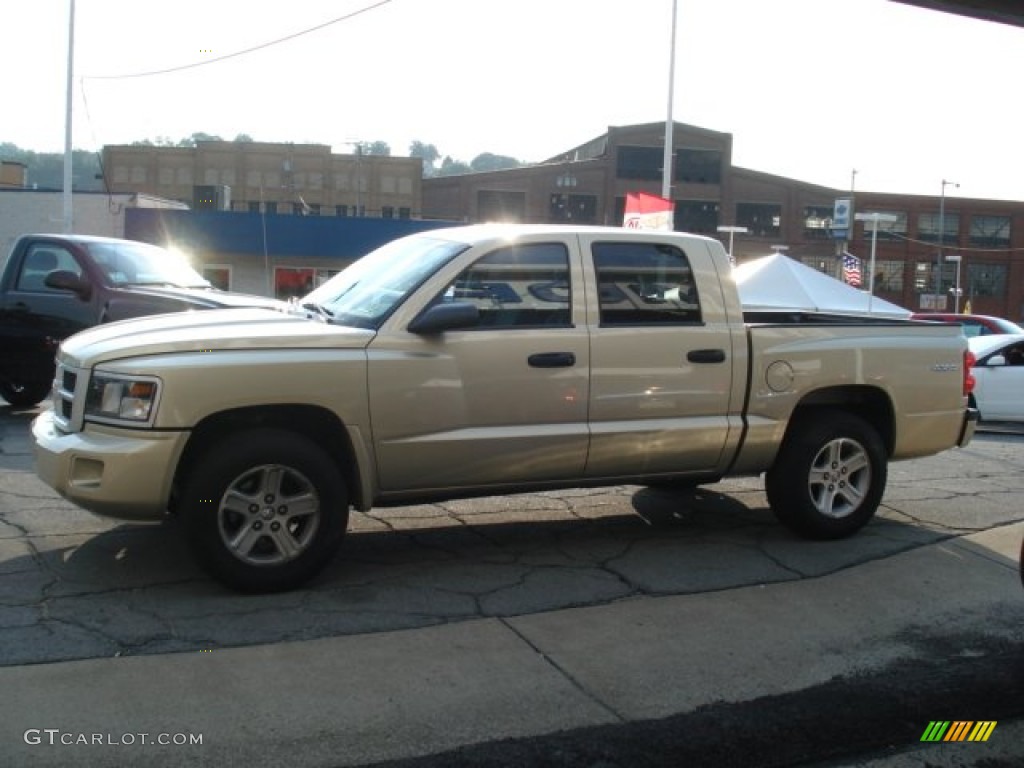 2011 Dakota Big Horn Crew Cab 4x4 - White Gold Metallic / Dark Slate Gray/Medium Slate Gray photo #5