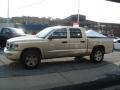 2011 White Gold Metallic Dodge Dakota Big Horn Crew Cab 4x4  photo #5