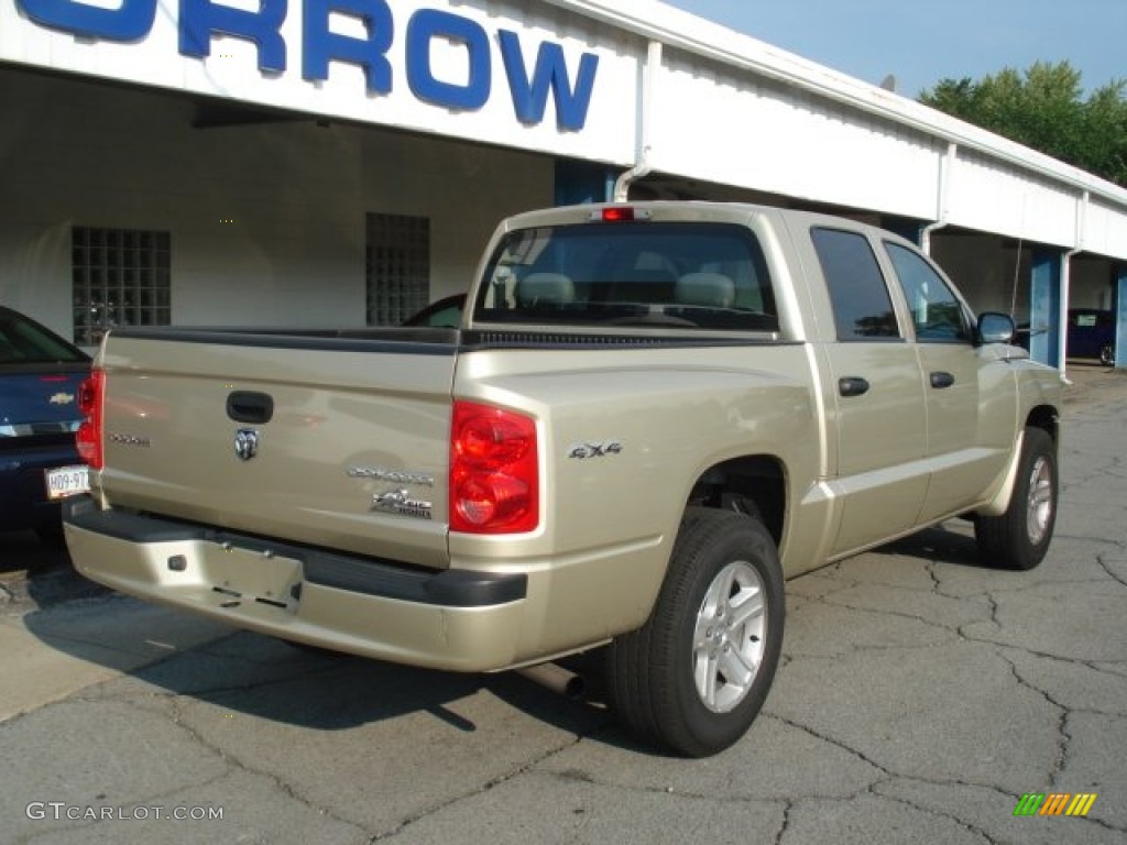 2011 Dakota Big Horn Crew Cab 4x4 - White Gold Metallic / Dark Slate Gray/Medium Slate Gray photo #8