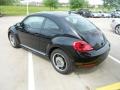 Black - Beetle 2.5L Photo No. 5