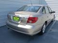 Pewter - L Series L200 Sedan Photo No. 3