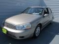 Pewter - L Series L200 Sedan Photo No. 6