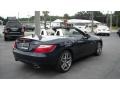 Lunar Blue Metallic - SLK 250 Roadster Photo No. 15