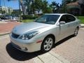 Classic Silver Metallic - ES 330 Photo No. 10