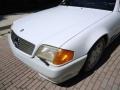 Arctic White - SL 500 Roadster Photo No. 41