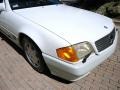Arctic White - SL 500 Roadster Photo No. 85