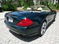 Everest Green Metallic - SL 500 Roadster Photo No. 4
