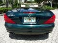 Everest Green Metallic - SL 500 Roadster Photo No. 11