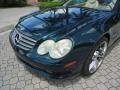 Everest Green Metallic - SL 500 Roadster Photo No. 13