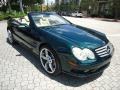 Everest Green Metallic - SL 500 Roadster Photo No. 16