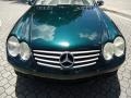 Everest Green Metallic - SL 500 Roadster Photo No. 22