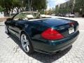 Everest Green Metallic - SL 500 Roadster Photo No. 24