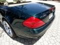 Everest Green Metallic - SL 500 Roadster Photo No. 25