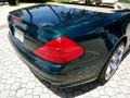 Everest Green Metallic - SL 500 Roadster Photo No. 26