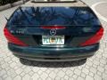 Everest Green Metallic - SL 500 Roadster Photo No. 33