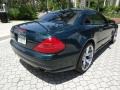 Everest Green Metallic - SL 500 Roadster Photo No. 41