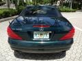 Everest Green Metallic - SL 500 Roadster Photo No. 42