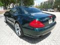 Everest Green Metallic - SL 500 Roadster Photo No. 45