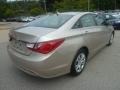 Camel Pearl - Sonata GLS Photo No. 3
