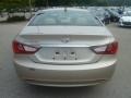 Camel Pearl - Sonata GLS Photo No. 4