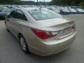 Camel Pearl - Sonata GLS Photo No. 5