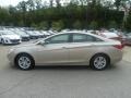 Camel Pearl - Sonata GLS Photo No. 6