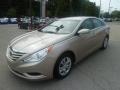 Camel Pearl - Sonata GLS Photo No. 7