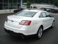 White Platinum Tri-Coat - Taurus Limited Photo No. 8