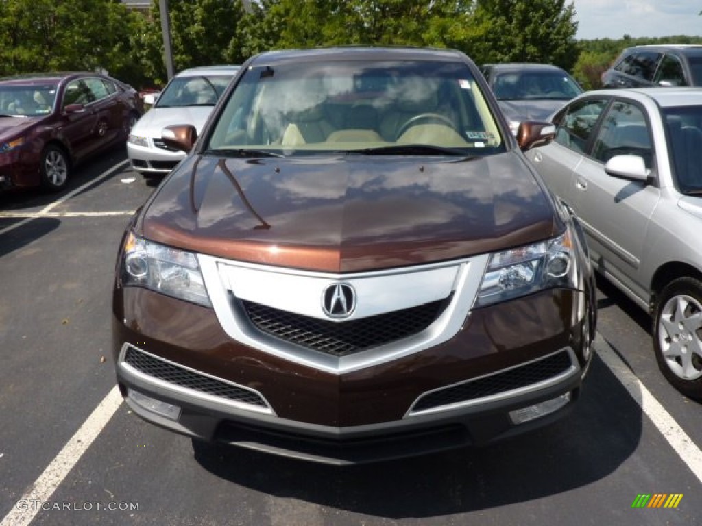 2010 MDX Technology - Ionized Bronze Metallic / Taupe Gray photo #2