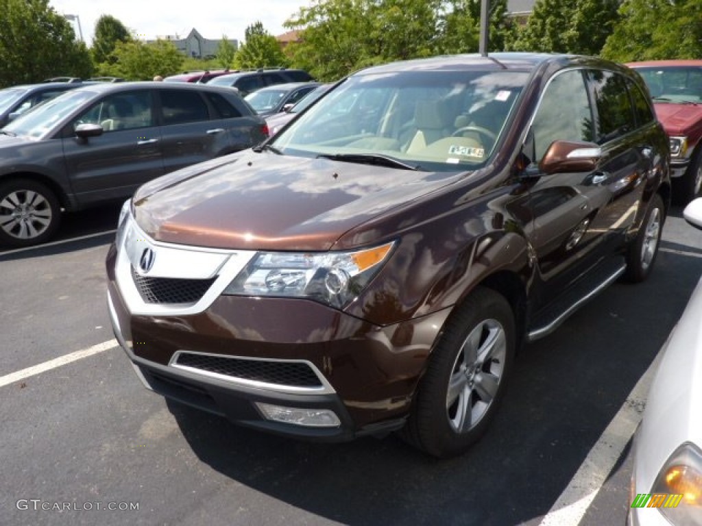 2010 MDX Technology - Ionized Bronze Metallic / Taupe Gray photo #3