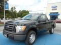 Green Gem Metallic - F150 XL Regular Cab Photo No. 1