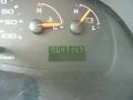 Gold Ash Metallic - E Series Van E150 XL Passenger Photo No. 20