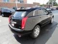 Black Raven - SRX Luxury AWD Photo No. 5