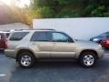 Driftwood Pearl - 4Runner SR5 4x4 Photo No. 13
