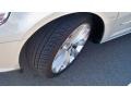 White Gold Metallic - CC VR6 Sport Photo No. 10