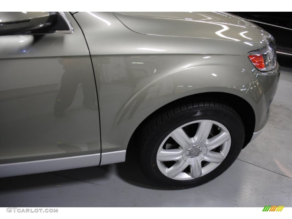 2007 Q7 4.2 Premium quattro - Sycamore Green Metallic / Black photo #16