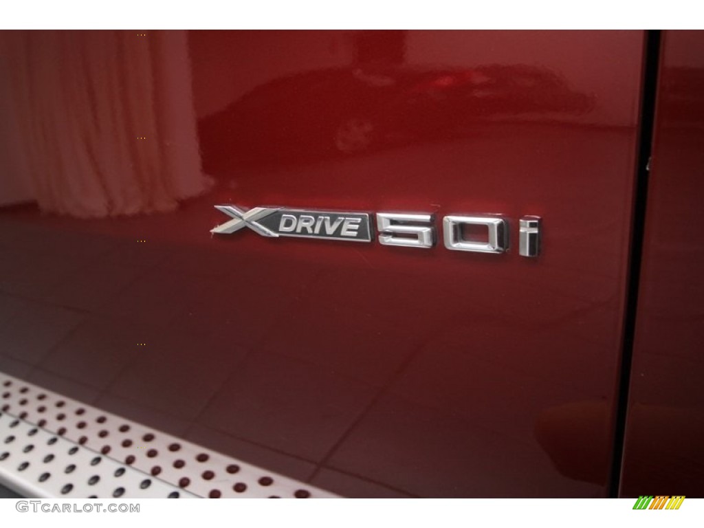 2009 BMW X6 xDrive50i Marks and Logos Photo #70026277