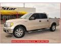 Pueblo Gold Metallic 2009 Ford F150 XLT SuperCrew