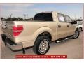 Pueblo Gold Metallic - F150 XLT SuperCrew Photo No. 9