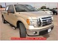 Pueblo Gold Metallic - F150 XLT SuperCrew Photo No. 12