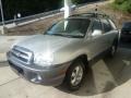 Smart Silver - Santa Fe GLS 4WD Photo No. 5